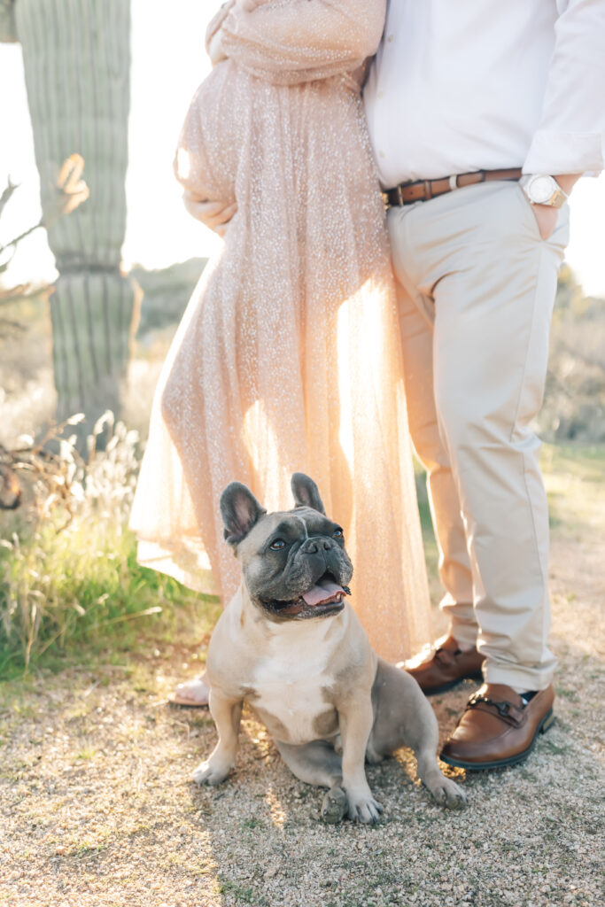 A pregnant woman dressed in a peachy neutral toned long sleeve shimmery dress (camera left) with her back toward her husband wearing a white button-down shirt and light tan chinos (camera right) photographed outdoors in Arizona for a sunset maternity session with the golden light hitting a cactus behind them, her shimmering maternity gown and their French bulldog sitting at their feet.